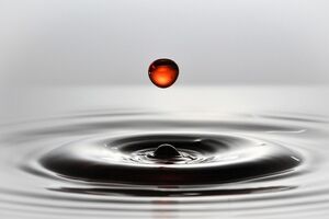 Symbolbild: Wolfgang Weiser/Pixabay.com